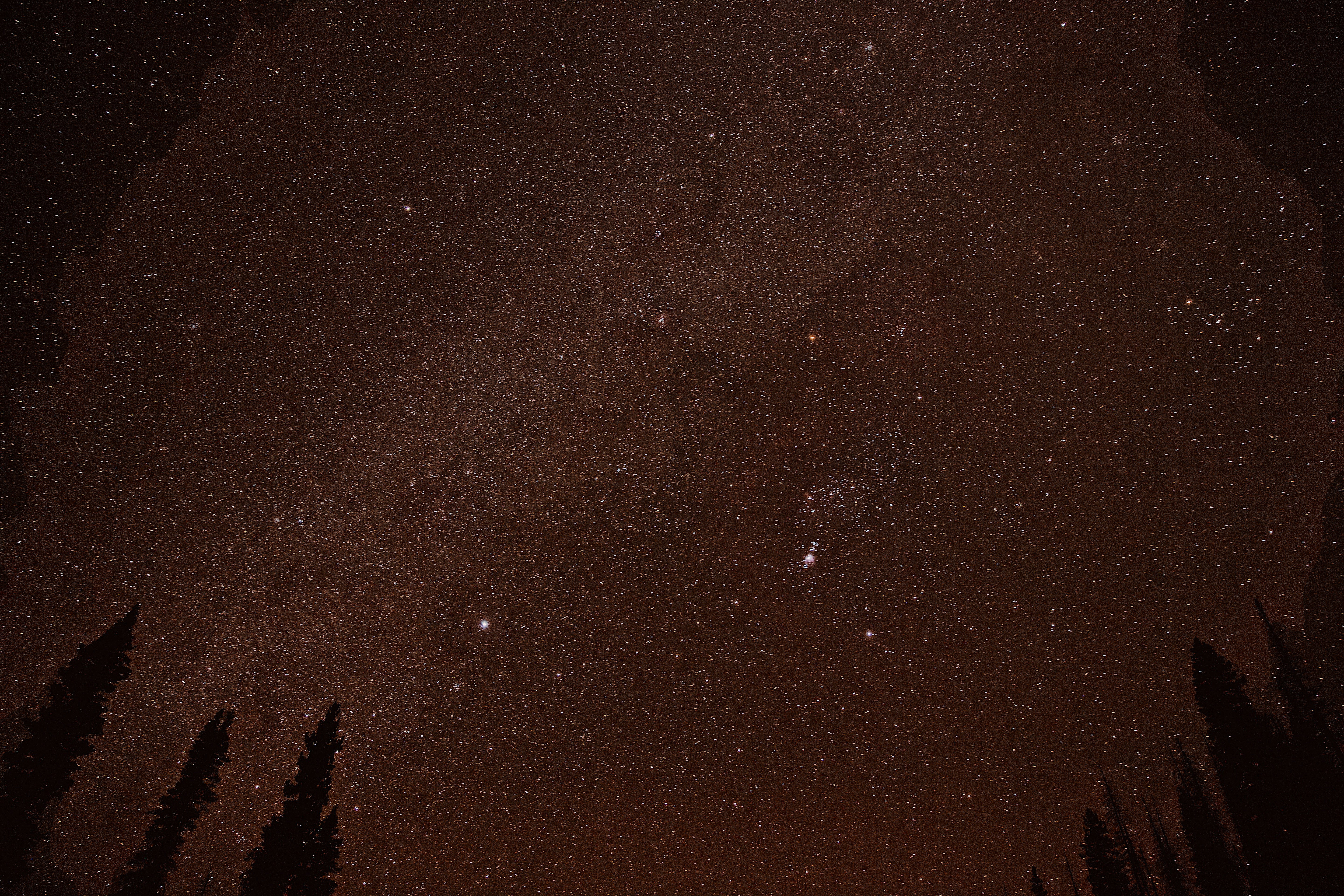 stars in the sky during night time